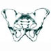 Urogynecology